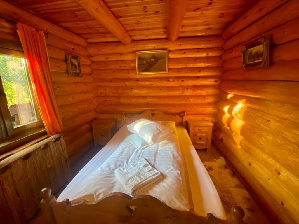 Cabana Vanatorului Rîşnov Esterno foto