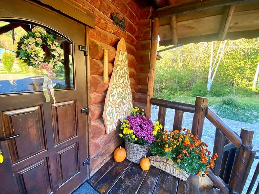 Cabana Vanatorului Rîşnov Esterno foto