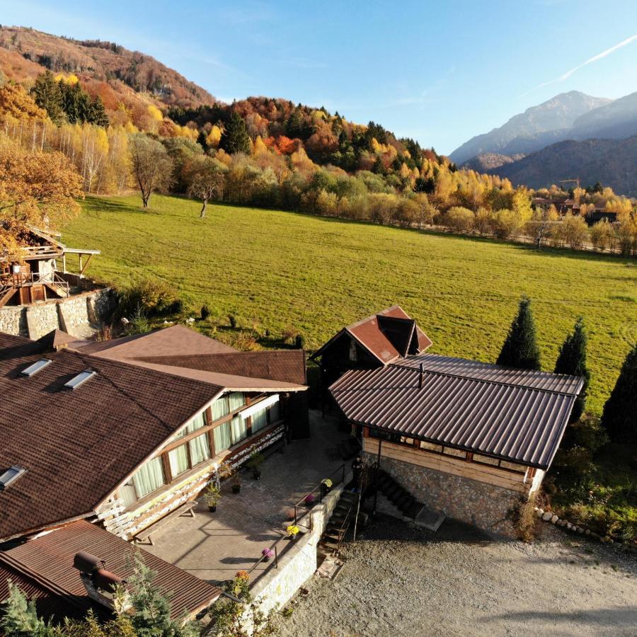 Cabana Vanatorului Rîşnov Esterno foto
