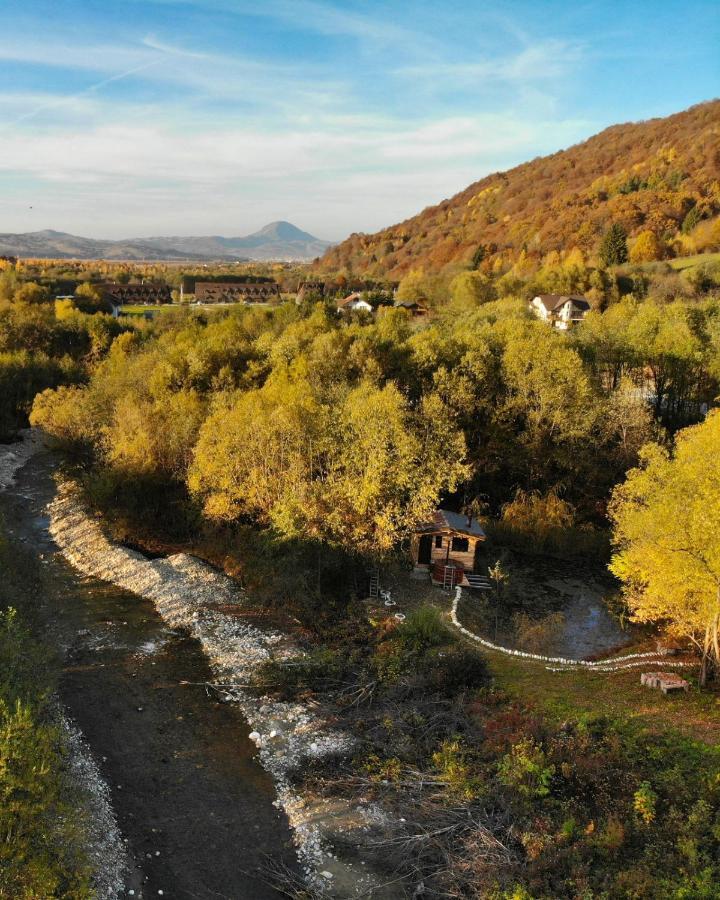 Cabana Vanatorului Rîşnov Esterno foto