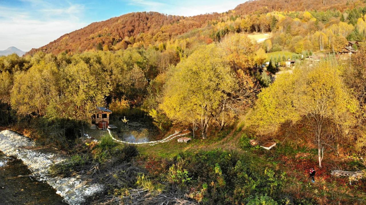 Cabana Vanatorului Rîşnov Esterno foto