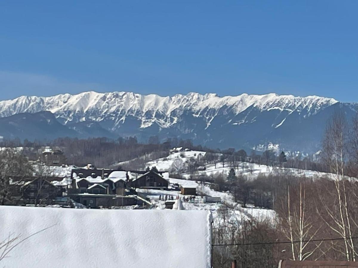 Cabana Vanatorului Rîşnov Esterno foto