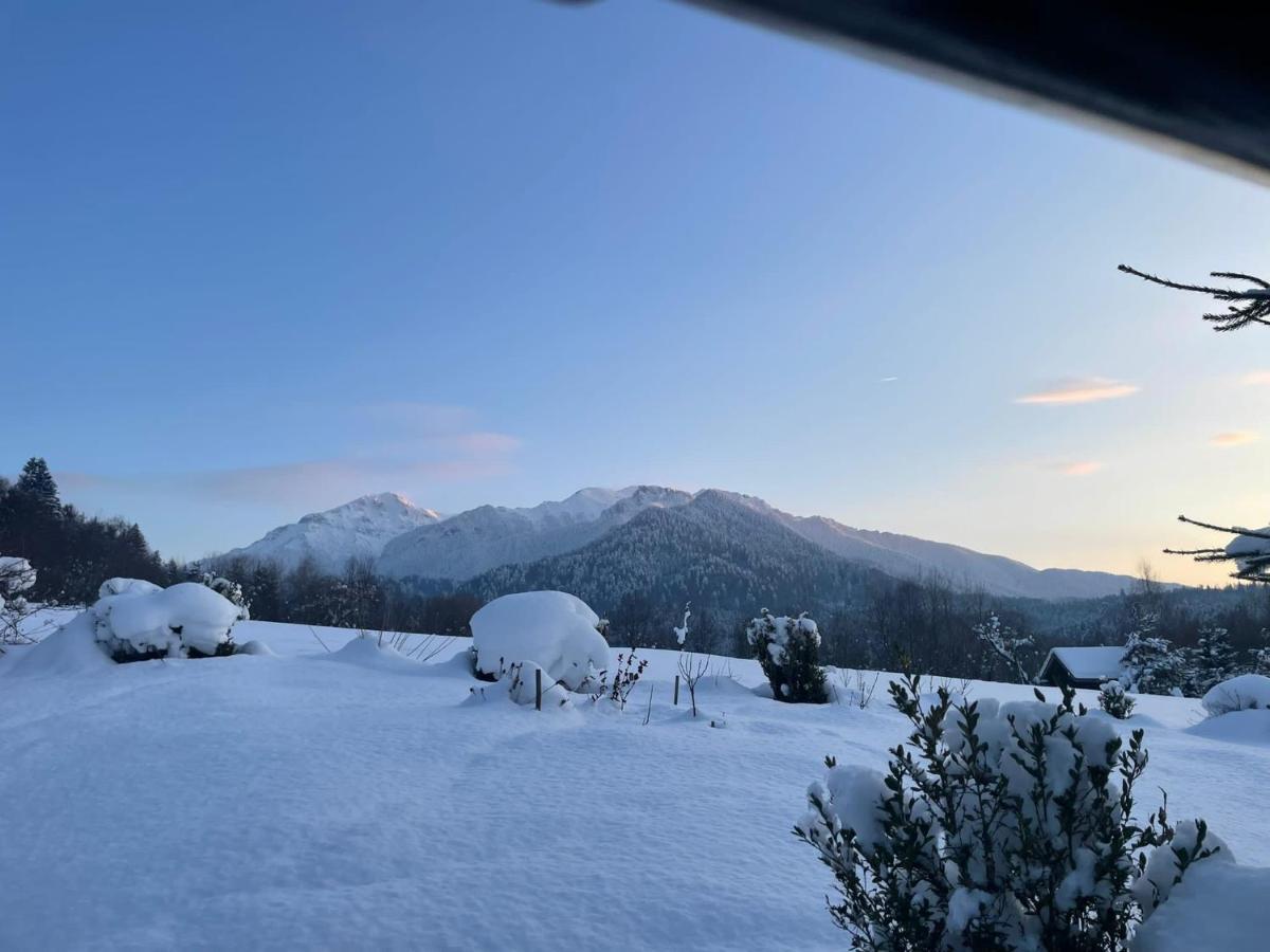 Cabana Vanatorului Rîşnov Esterno foto