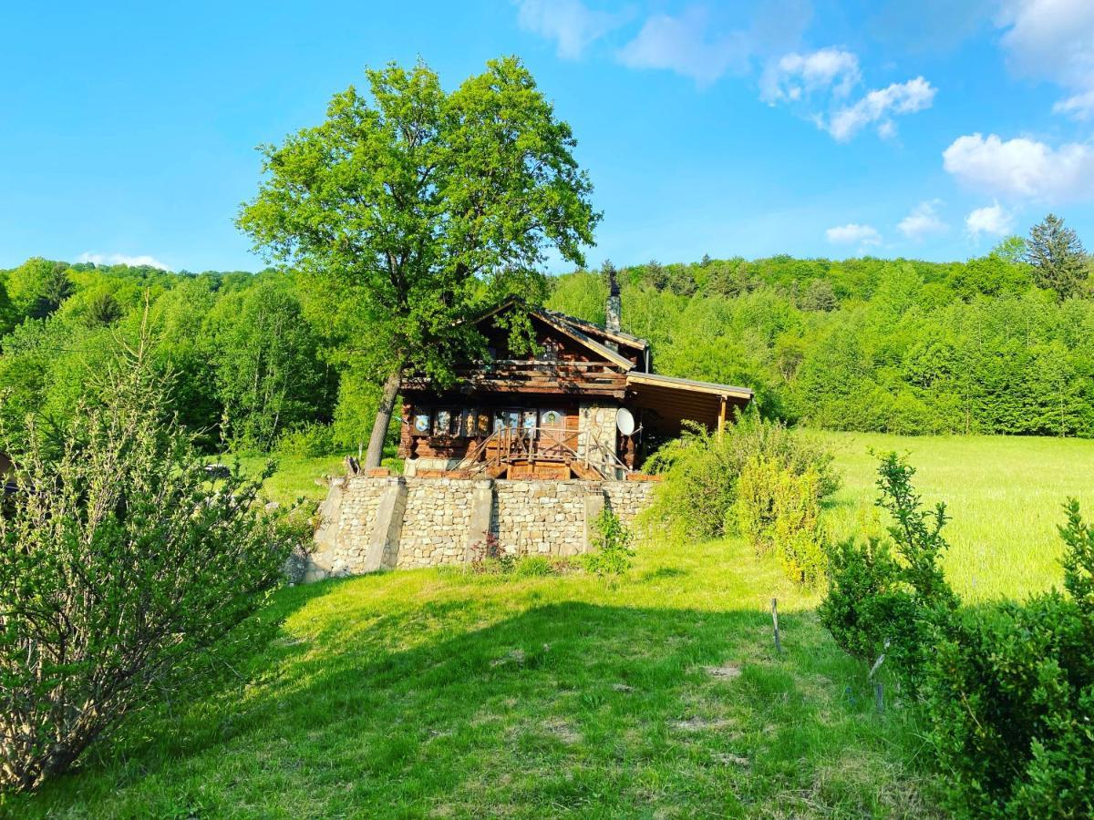 Cabana Vanatorului Rîşnov Esterno foto