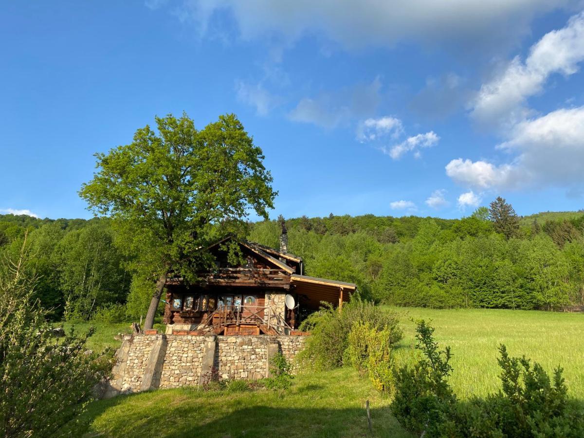 Cabana Vanatorului Rîşnov Esterno foto