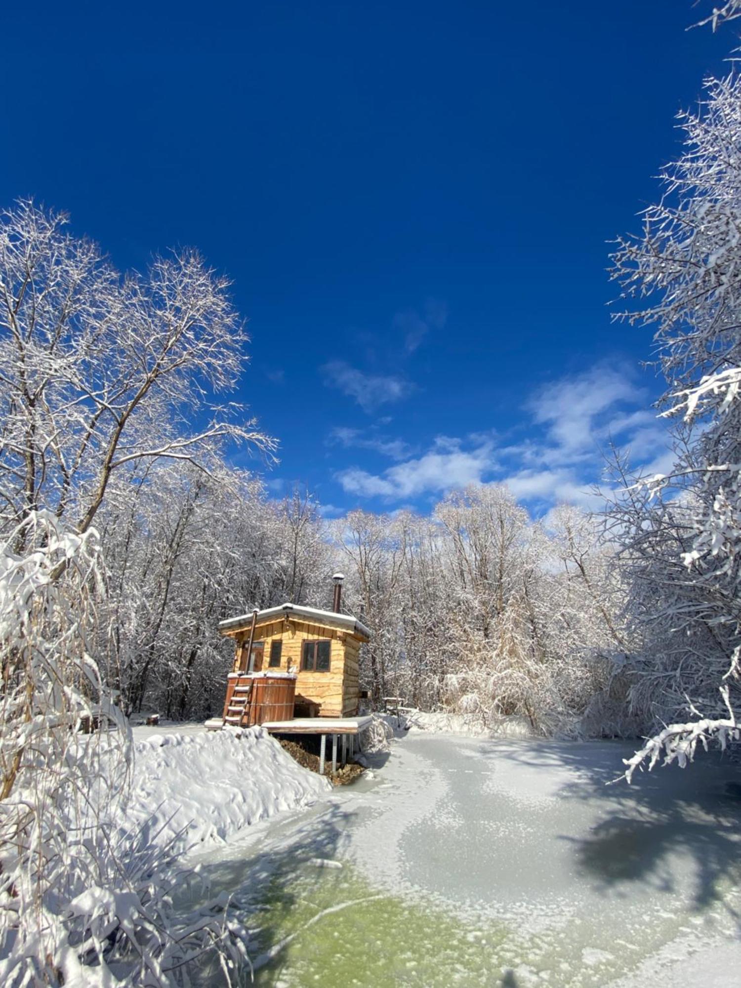 Cabana Vanatorului Rîşnov Esterno foto