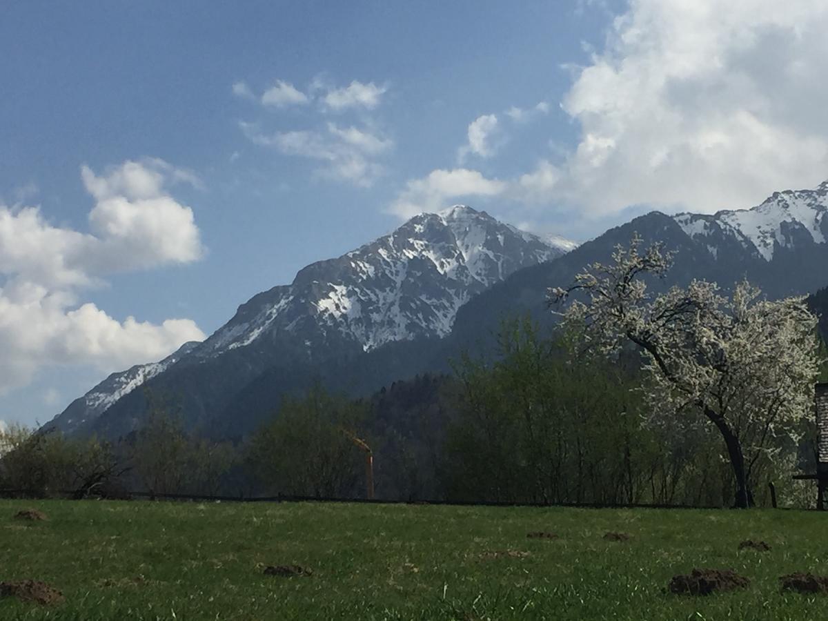 Cabana Vanatorului Rîşnov Esterno foto
