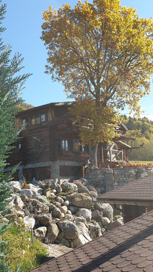 Cabana Vanatorului Rîşnov Esterno foto