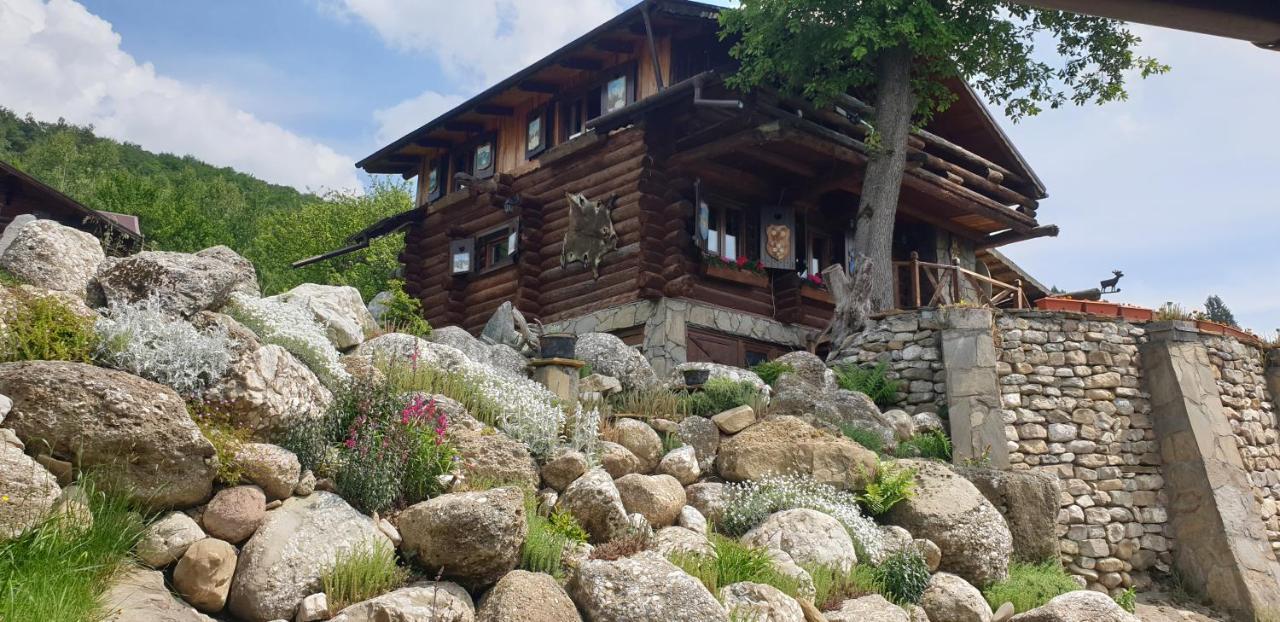 Cabana Vanatorului Rîşnov Esterno foto